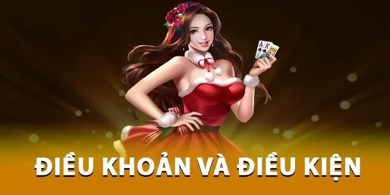 Vai trò quan trọng khi nắm vững nội dung điều khoản điều kiện